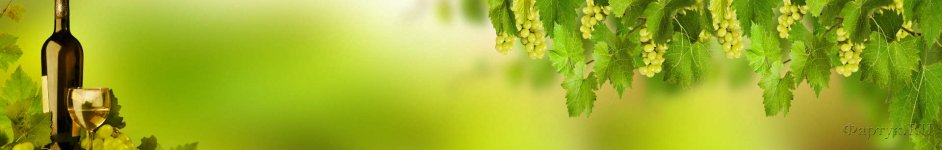 Скинали — Бутылка вина и грозди винограда на зеленом фоне
