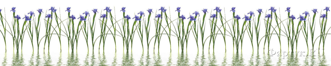 Скинали — Цветы на воде