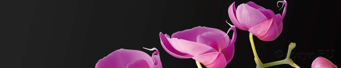 Скинали — Нежно-розовые цветы на черном фоне 