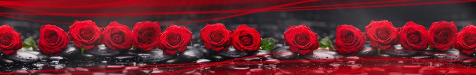 Скинали — красные розы и волны
