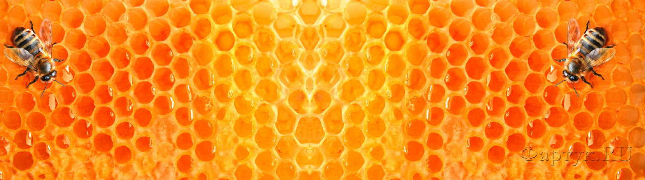 Скинали — Пчелиные соты и пчелы