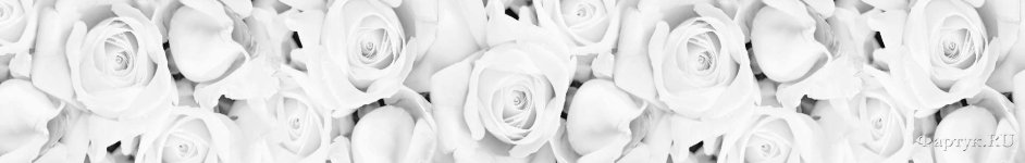 Скинали — Фон белоснежные розы 