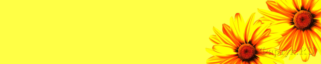 Скинали — Герберы на желтом фоне