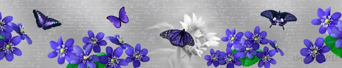 Скинали — Фиолетовые бабочки на фиолетовых цветах
