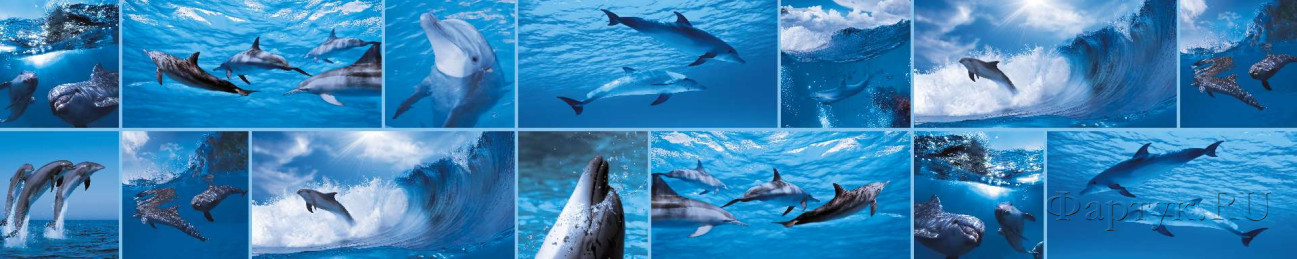 Скинали — Коллаж дельфины