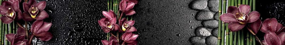 Скинали — Орхидеи на черном фоне с каплями воды