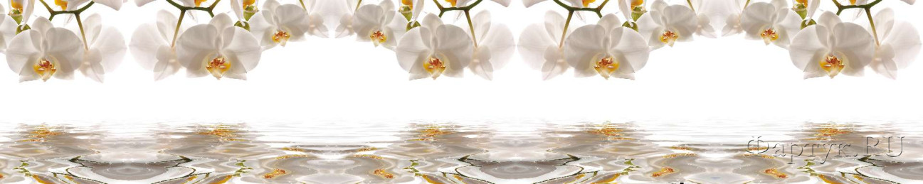 Скинали — Белые орхидеи над водой