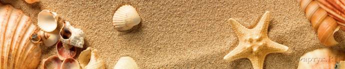 Скинали — ракушки на песке