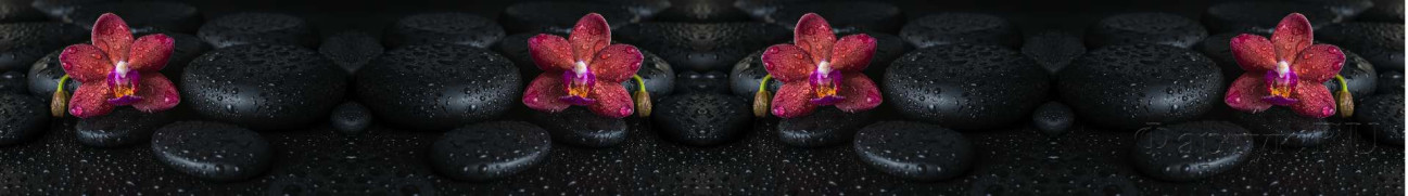 Скинали — Орхидеи на камнях на черном фоне