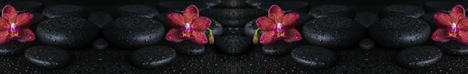 Скинали — Орхидеи на камнях на черном фоне
