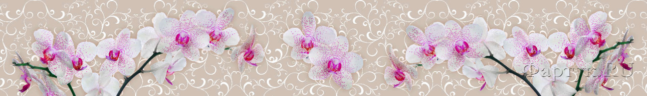 Скинали — Нежные орхидеи и вензеля 