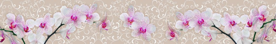 Скинали — Нежные орхидеи и вензеля 