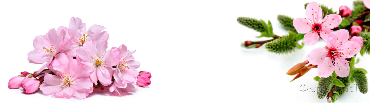 Скинали — Розовые цветки на дереве