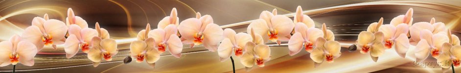 Скинали — Орхидеи на абстрактных волнах