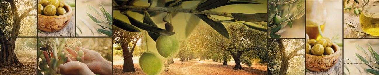 Скинали — Коллаж зеленые оливки