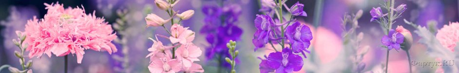 Скинали — Фиолетовые цветы