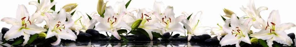 Скинали — Белые лилии на черных камнях