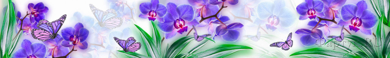 Скинали — Бабочки и цветы орхидеи