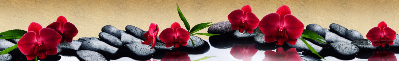 Скинали — Ароматные цветы на черных камнях 