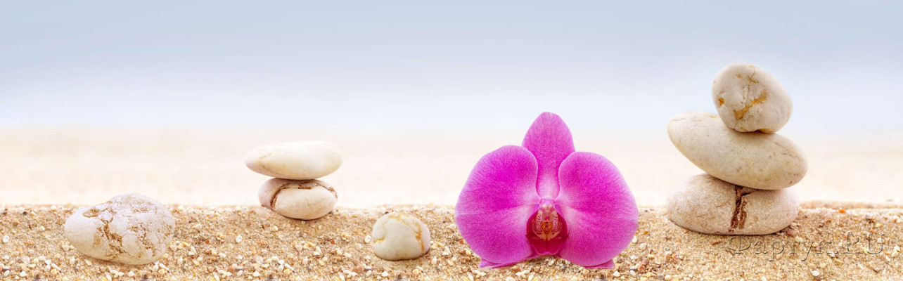 Скинали — Орхидея и камни
