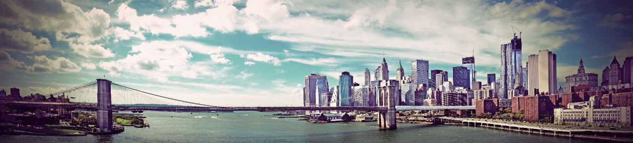 Скинали — Вид на Бруклинский мост