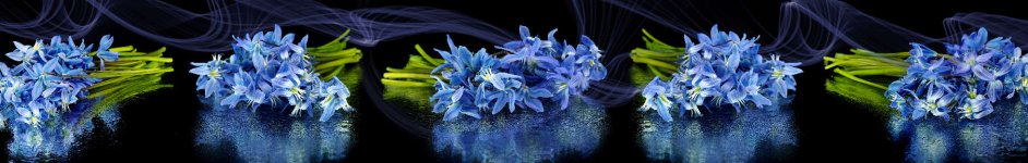 Скинали — голубые цветы на черном фоне