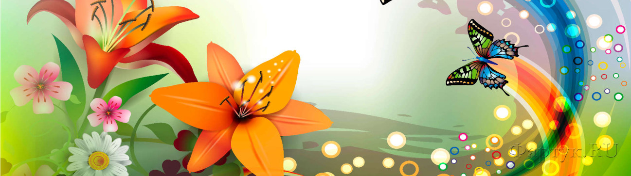 Скинали — Бабочка и цветы-радужный узор