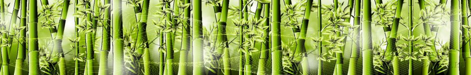 Скинали — Зеленый бамбук 