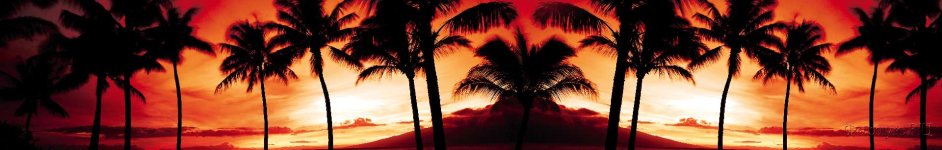Скинали — Пальмы на закате