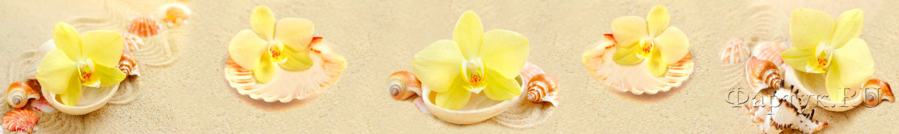 Скинали — Желтые орхидеи на песке