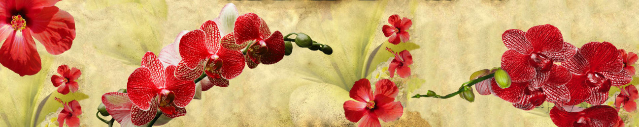 Скинали — Веточка красной орхидеи