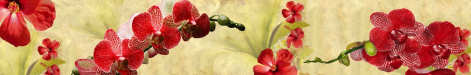 Скинали — Веточка красной орхидеи