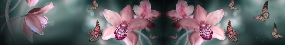 Скинали — Тропические орхидеи и бабочки