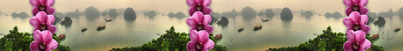 Скинали — Орхидеи на фоне морского залива