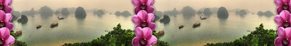 Скинали — Орхидеи на фоне морского залива
