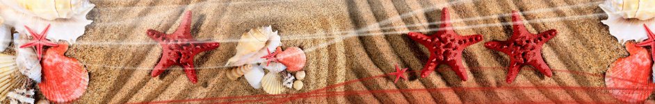 Скинали — Ракушки и морские звезды на песке