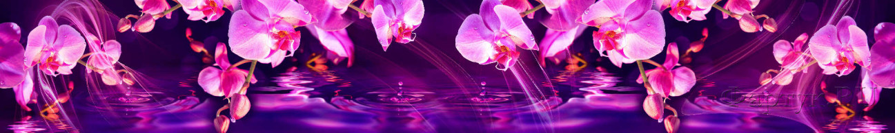Скинали — Розовые орхидеи в фиолетовом цвете