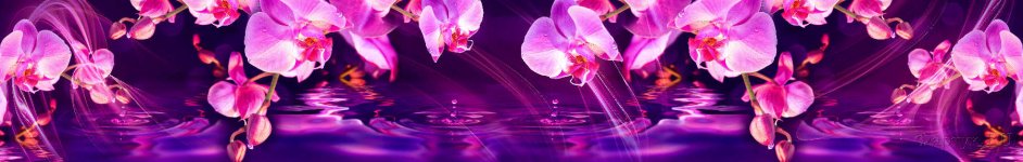 Скинали — Розовые орхидеи в фиолетовом цвете