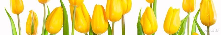 Скинали — Желтые тюльпаны