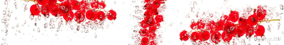 Скинали — Веточки красной смородины в воде