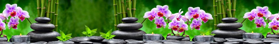 Скинали — Орхидеи на фоне камней и бамбука