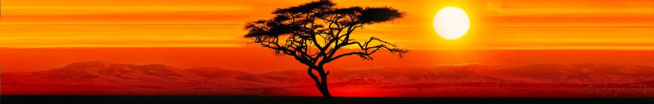 Скинали — Пейзаж дерево на закате