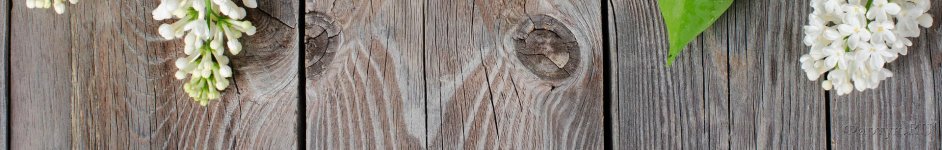 Скинали — Сирень на текстуре дерева