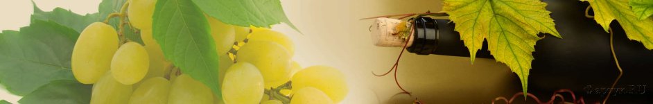 Скинали — Виноград и вино