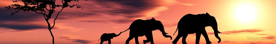 Скинали — Слоны у воды на закате