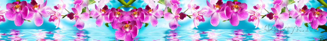 Скинали — Ветки орхидеи на воде