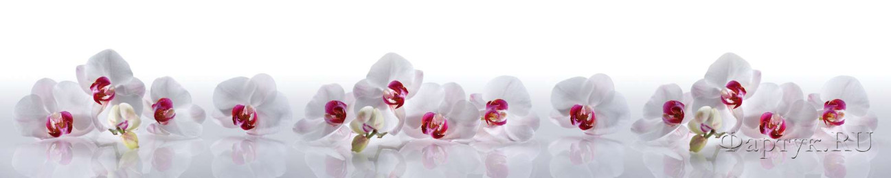 Скинали — Белые орхидеи