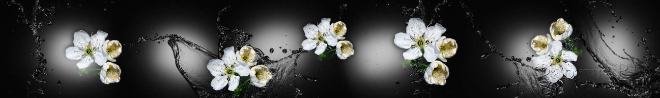 Скинали — Белые цветы в брызгах воды