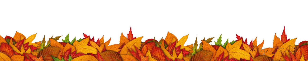 Скинали — Осенние листья на белом фоне