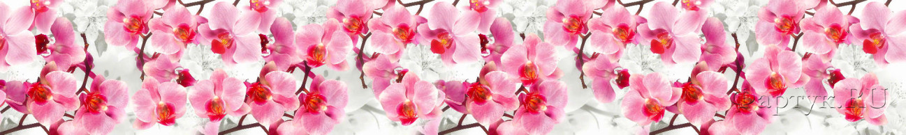 Скинали — Нежнейшая орхидея